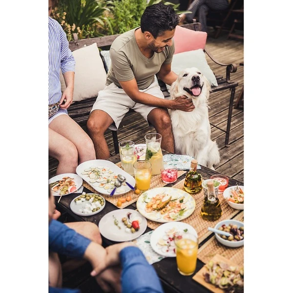 Campingaz Attitude 2100 EX, Gasgrill 19 Campingaz Attitude 2100 EX, Gasgrill – Bild 19