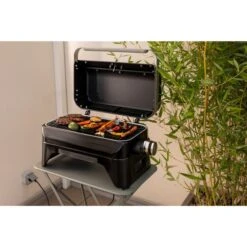 Campingaz Elektrogrill Attitude 2go Electric -Grill Lieferungen Angebote Campingaz Elektrogrill Attitude 2go Electric@@100024618 15