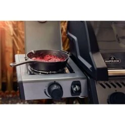 Napoleon Gasgrill Freestyle 365 SB Graphit, Mit Seitenbrenner 38 Napoleon Gasgrill Freestyle 365 SB Graphit, Mit Seitenbrenner -Grill Lieferungen Angebote Napoleon Gasgrill Freestyle 365 SB Graphit mit Seitenbrenner@@1680027 18