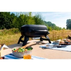 Napoleon Gasgrill TRAVELQ 240 30 Napoleon Gasgrill TRAVELQ 240 -Grill Lieferungen Angebote Napoleon Gasgrill TRAVELQ 240@@1872821 13