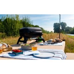 Napoleon Gasgrill TRAVELQ 240 31 Napoleon Gasgrill TRAVELQ 240 -Grill Lieferungen Angebote Napoleon Gasgrill TRAVELQ 240@@1872821 14