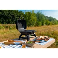 Napoleon Gasgrill TRAVELQ 240 33 Napoleon Gasgrill TRAVELQ 240 -Grill Lieferungen Angebote Napoleon Gasgrill TRAVELQ 240@@1872821 16