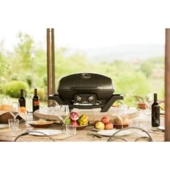 Napoleon Gasgrill TravelQ PRO285 30 Napoleon Gasgrill TravelQ PRO285 -Grill Lieferungen Angebote Napoleon Gasgrill TravelQ PRO285@@9ggfen0o 13