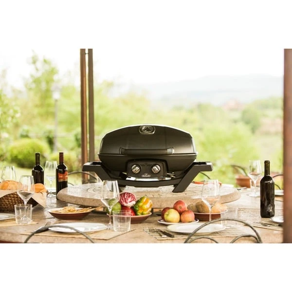 Napoleon Gasgrill TravelQ PRO285 13 Napoleon Gasgrill TravelQ PRO285 – Bild 13