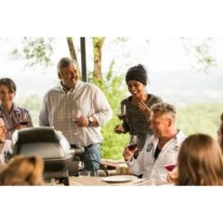 Napoleon Gasgrill TravelQ PRO285 33 Napoleon Gasgrill TravelQ PRO285 -Grill Lieferungen Angebote Napoleon Gasgrill TravelQ PRO285@@9ggfen0o 16