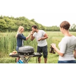 Napoleon Gasgrill TravelQ PRO285X Mit Klappwagen 21 Napoleon Gasgrill TravelQ PRO285X Mit Klappwagen -Grill Lieferungen Angebote Napoleon Gasgrill TravelQ PRO285X mit Klappwagen@@9ggfen0n 9