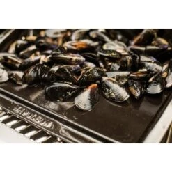 Napoleon Gusseisen-Plancha, Grillplatte 15 Napoleon Gusseisen-Plancha, Grillplatte -Grill Lieferungen Angebote Napoleon Gusseisen Plancha Grillplatte@@9ggzzn0s 6