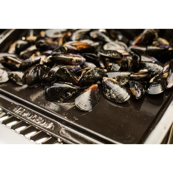 Napoleon Gusseisen-Plancha, Grillplatte 7 Napoleon Gusseisen-Plancha, Grillplatte – Bild 7