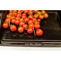 Napoleon Gusseisen-Plancha, Grillplatte 16 Napoleon Gusseisen-Plancha, Grillplatte -Grill Lieferungen Angebote Napoleon Gusseisen Plancha Grillplatte@@9ggzzn0s 7