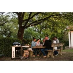 Napoleon Holzkohlegrill PRO22K, Im Rollwagen 33 Napoleon Holzkohlegrill PRO22K, Im Rollwagen -Grill Lieferungen Angebote Napoleon Holzkohlegrill PRO22K im Rollwagen@@9ggffn01 13