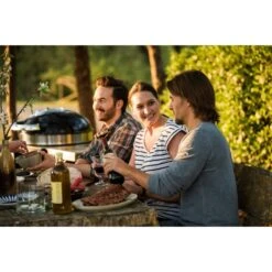 Napoleon Holzkohlegrill PRO22K, Im Rollwagen 39 Napoleon Holzkohlegrill PRO22K, Im Rollwagen -Grill Lieferungen Angebote Napoleon Holzkohlegrill PRO22K im Rollwagen@@9ggffn01 19