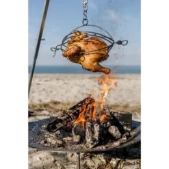 Petromax Geflügel-Grillkorb Zum Hängen -Grill Lieferungen Angebote Petromax Gefl gel Grillkorb zum H ngen@@1849049 7