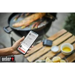 Weber Connect Smart Grilling Hub, Thermometer -Grill Lieferungen Angebote Weber Connect Smart Grilling Hub Thermometer@@1600833 8