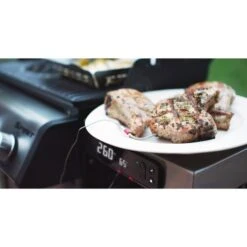 Weber Gasgrill Spirit EPX-325S GBS 29 Weber Gasgrill Spirit EPX-325S GBS -Grill Lieferungen Angebote Weber Gasgrill Spirit EPX 325S GBS@@1694193 16