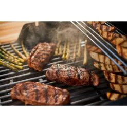 Weber Gasgrill Spirit E-330 Classic GBS Black 26 Weber Gasgrill Spirit E-330 Classic GBS Black -Grill Lieferungen Angebote Weber Gasgrill Spirit E 330 Classic GBS Black@@1694186 14