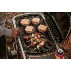 Weber Gasgrill Traveler Black 30 Weber Gasgrill Traveler Black -Grill Lieferungen Angebote Weber Gasgrill Traveler Black@@1694181 10