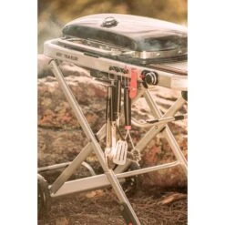 Weber Gasgrill Traveler Black 37 Weber Gasgrill Traveler Black -Grill Lieferungen Angebote Weber Gasgrill Traveler Black@@1694181 17