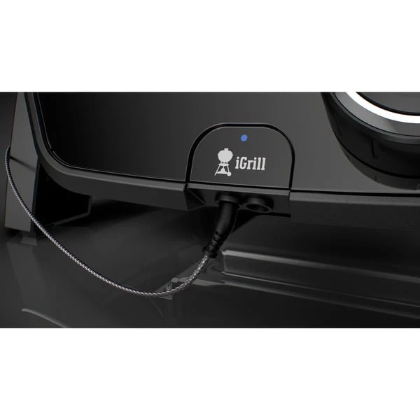 Weber Kontrolleinheit Für Pulse 1000, Ersatzteil 2 Weber Kontrolleinheit Für Pulse 1000, Ersatzteil – Bild 2