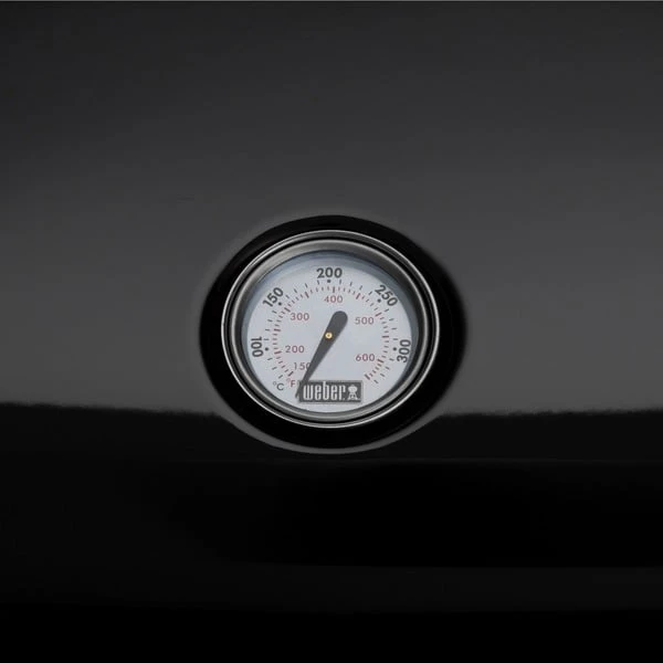 Weber Lumin Compact Elektrogrill Mit Stand 4 Weber Lumin Compact Elektrogrill Mit Stand – Bild 4