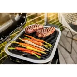 Weber Lumin Elektrogrill Mit Stand 20 Weber Lumin Elektrogrill Mit Stand -Grill Lieferungen Angebote Weber Lumin Elektrogrill mit Stand@@1875515 9