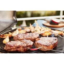 Weber IGrill Pro Messfühler Für Grillgut, Thermometer 33 Weber IGrill Pro Messfühler Für Grillgut, Thermometer -Grill Lieferungen Angebote Weber iGrill Pro Messf hler f r Grillgut Thermometer@@1303168 13